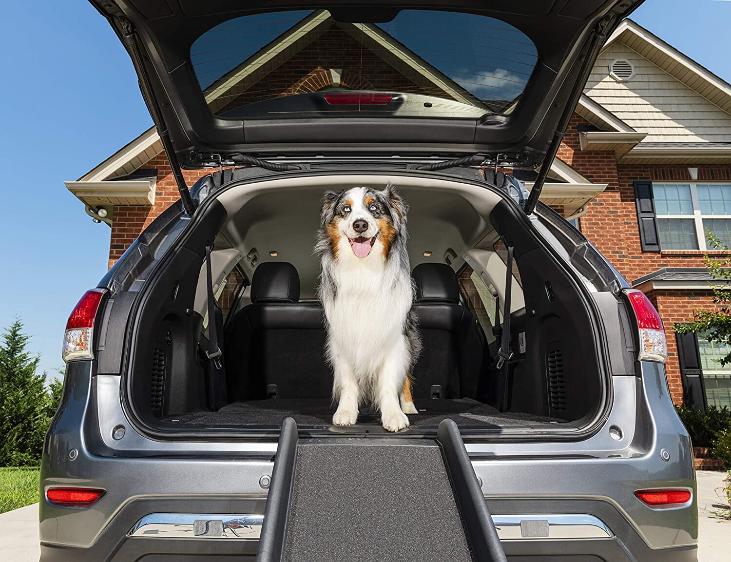 Petsafe Happy Ride Folding Pet Ramp - Black - 62 X 16 In  