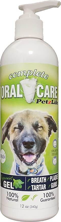 PETZLIFE Peppermint Gel pouch (must buy 12) Oral Care for Dogs and Cats  - 0.34 oz