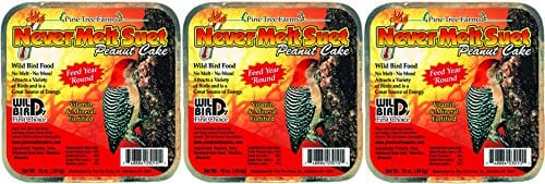 Pine Tree Farms Never Melt Suet Cake Wild Bird Food - Peanut - 13 Oz  