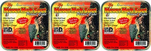 Pine Tree Farms Never Melt Suet Cake Wild Bird Food - Peanut - 13 Oz