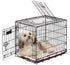 Precision Pet Products 2 Door Great Crate for Dog - Black - 24 in  