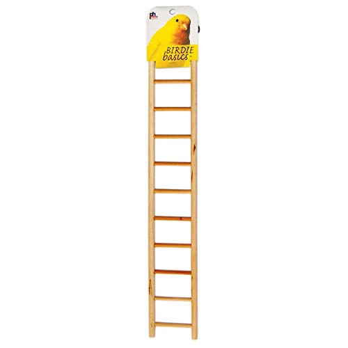 Prevue Hendryx 11-rung Bird Ladder  