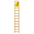 Prevue Hendryx 11-rung Bird Ladder  