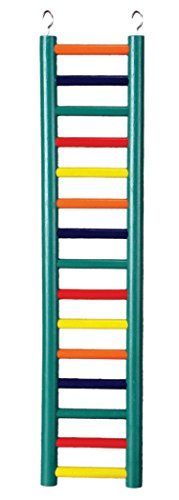Prevue Hendryx 15-rung Wood Bird Ladder - Multi-color  