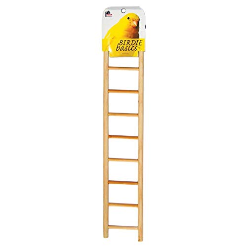 Prevue Hendryx 9-rung Bird Ladder  