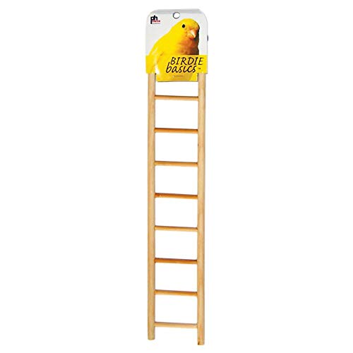 Prevue Hendryx 9-rung Bird Ladder
