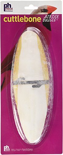 Prevue Hendryx Birdie Basics - Cuttlebone - 8"  