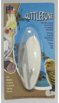 Prevue Hendryx Birdie Basics Cuttlebone - Large - 6" - 1 pk  