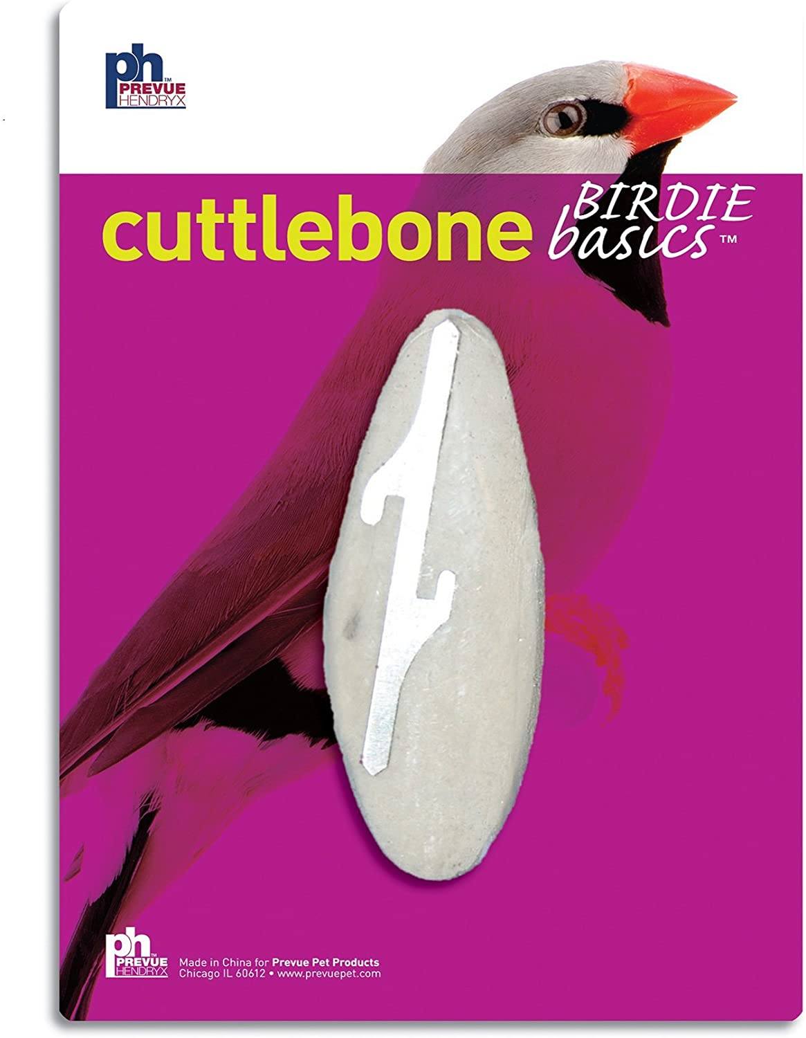 Prevue Hendryx Birdie Basics Cuttlebone - Small - 4