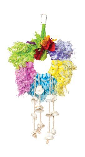Prevue Hendryx Calypso Creations Ropes & Shell Ring - Multi-color  