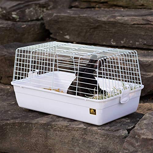 Prevue Hendryx Carina Animal Cage - Small - Multipack - 23.5" x 14" x 12.25" - Pack of 4  