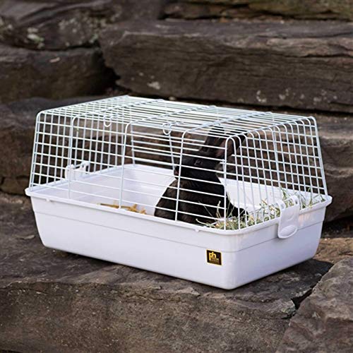 Prevue Hendryx Carina Animal Cage - Small - Multipack - 23.5" x 14" x 12.25" - Pack of 4