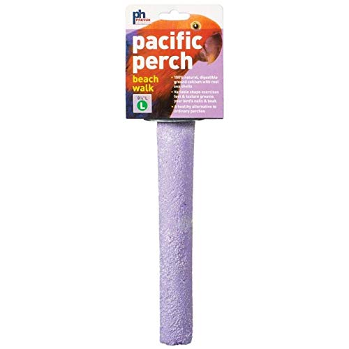 Prevue Hendryx Pacific Perch Beach Walk - Assorted Colors - Large  