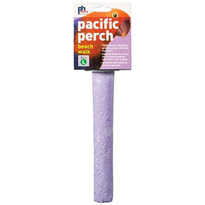 Prevue Hendryx Pacific Perch Beach Walk - Assorted Colors - Large