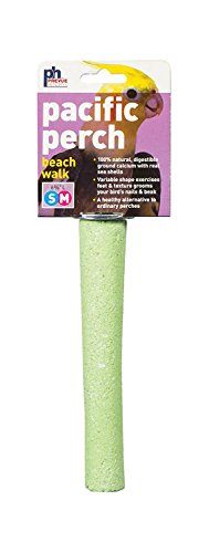 Prevue Hendryx Pacific Perch Beach Walk - Assorted Colors - Medium  
