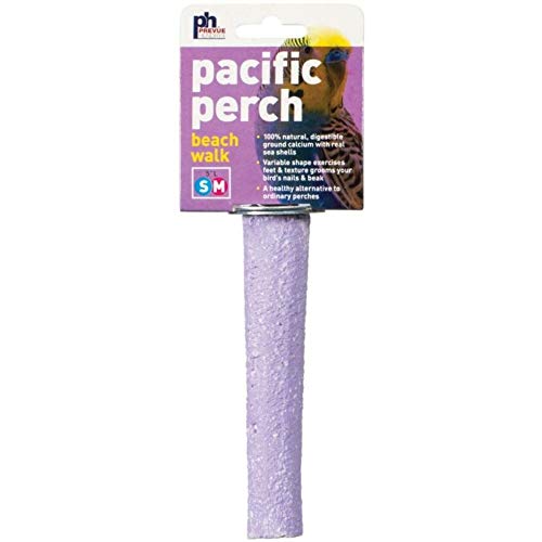 Prevue Hendryx Pacific Perch Beach Walk - Assorted Colors - Small  