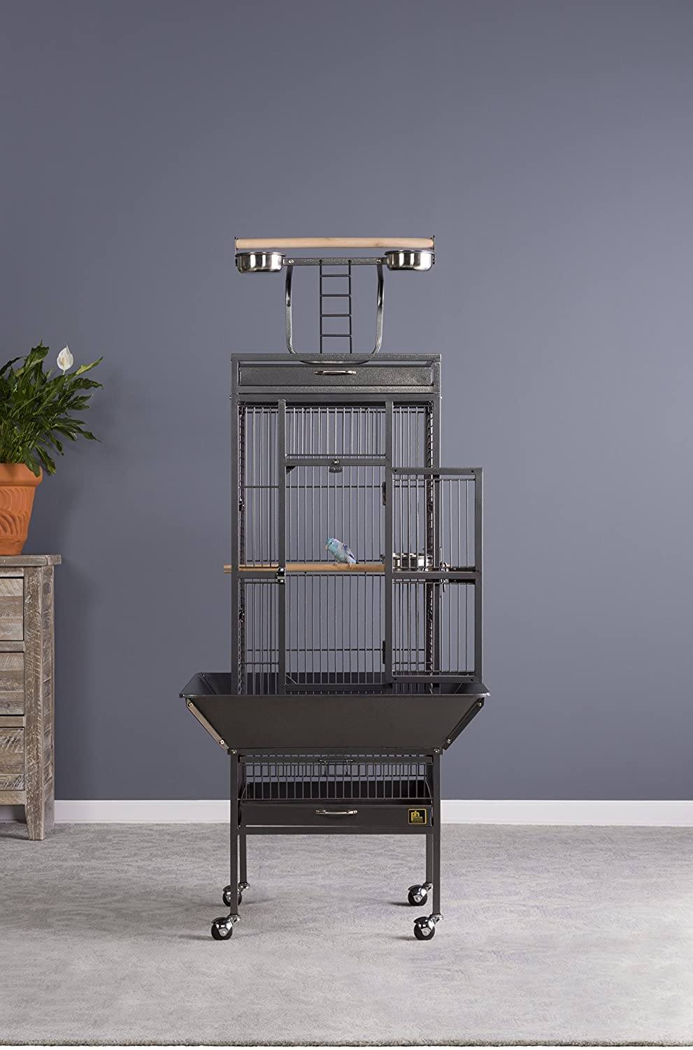 Prevue Hendryx Wrought Iron Select Bird Cage with Playtop - Black - 18" x 18" x 57"  