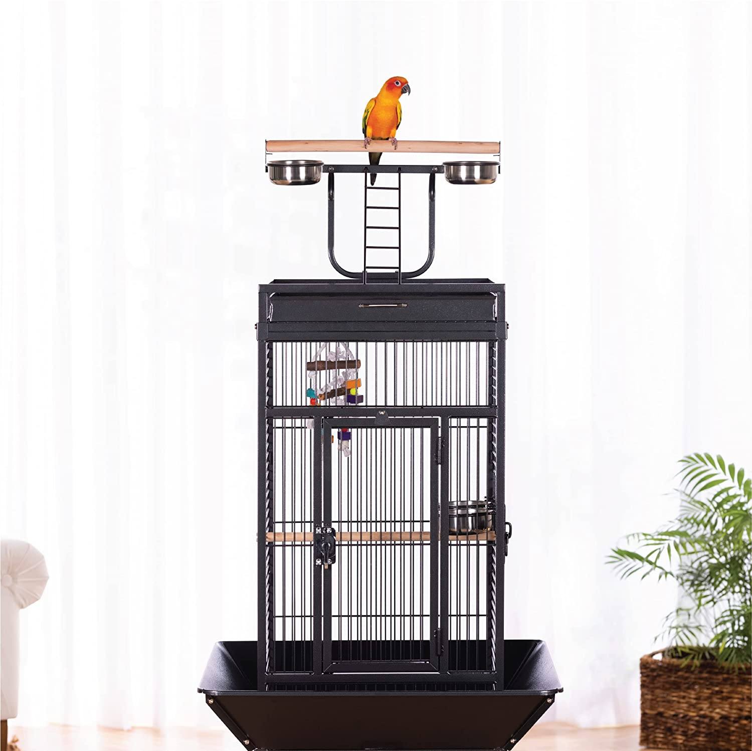 Prevue Hendryx Wrought Iron Select Bird Cage with Playtop - Black - 18" x 18" x 57"  