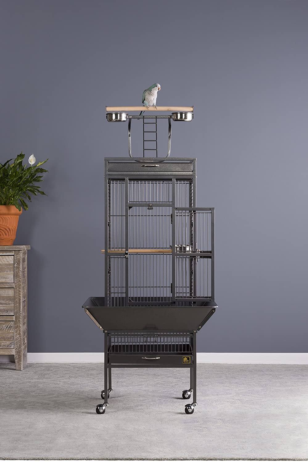 Prevue Hendryx Wrought Iron Select Bird Cage with Playtop - Black - 18