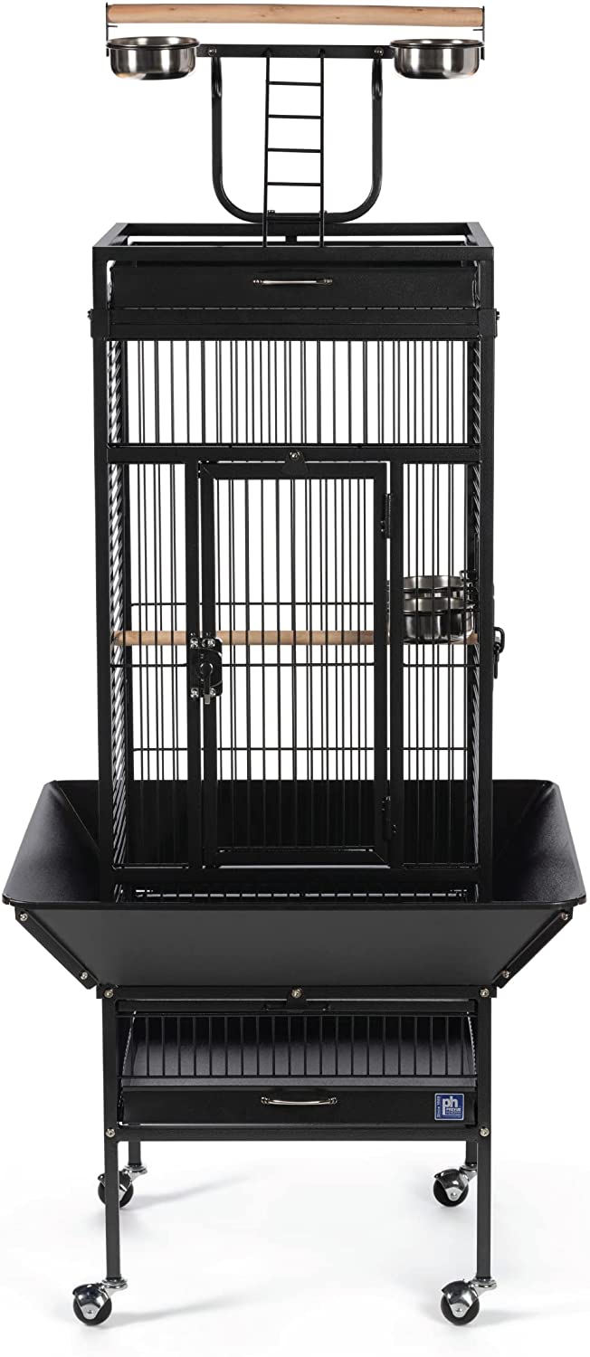 Prevue Hendryx Wrought Iron Select Bird Cage with Playtop - Black - 18" x 18" x 57"