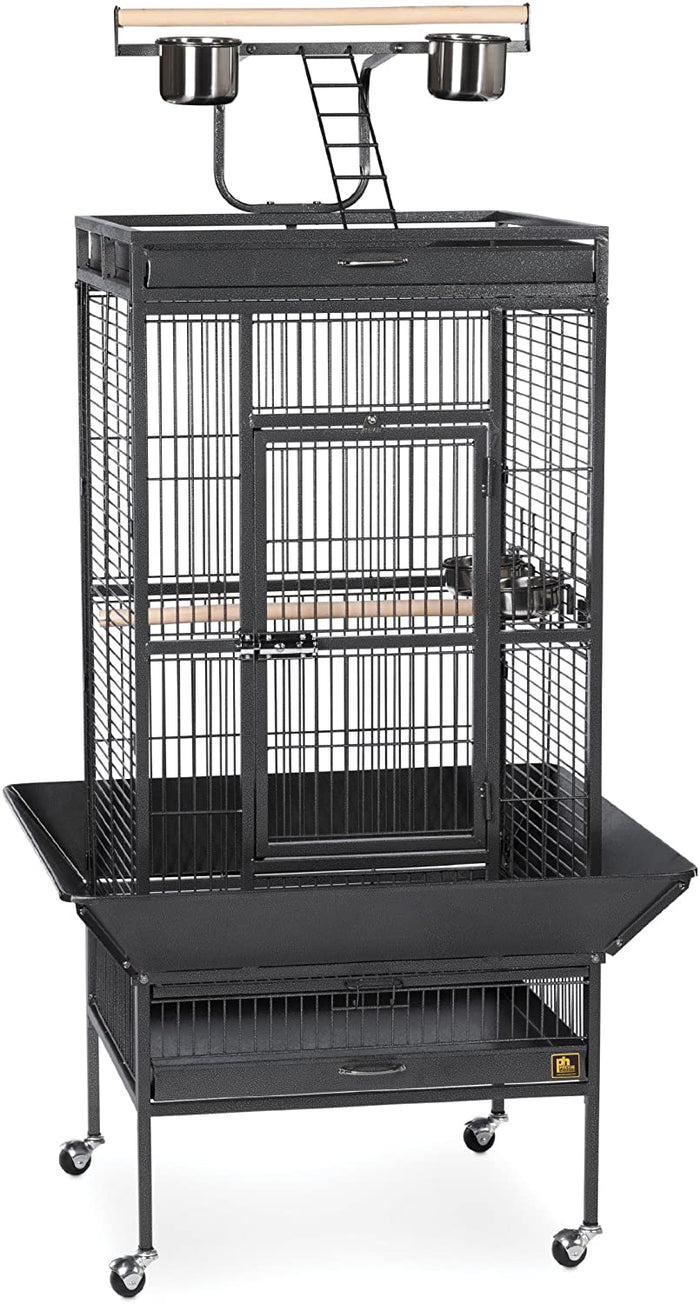 Prevue Hendryx Wrought Iron Select Bird Cage with Playtop - Black - 24" x 20" x 60"