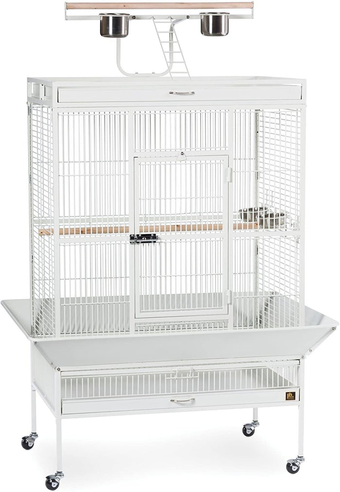 Prevue Hendryx Wrought Iron Select Bird Cage with Playtop - Black - 35" x 24" x 67"