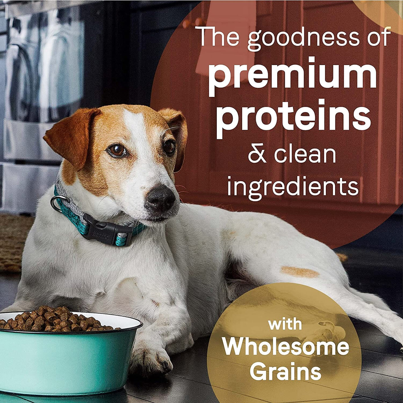 Wholesome dog outlet food ingredients