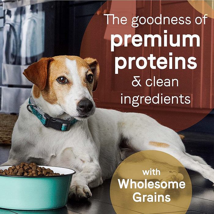 Pure Dog Food with Wholesome Grains Dry Dog Food - Salmon and Barley - 4 Lbs