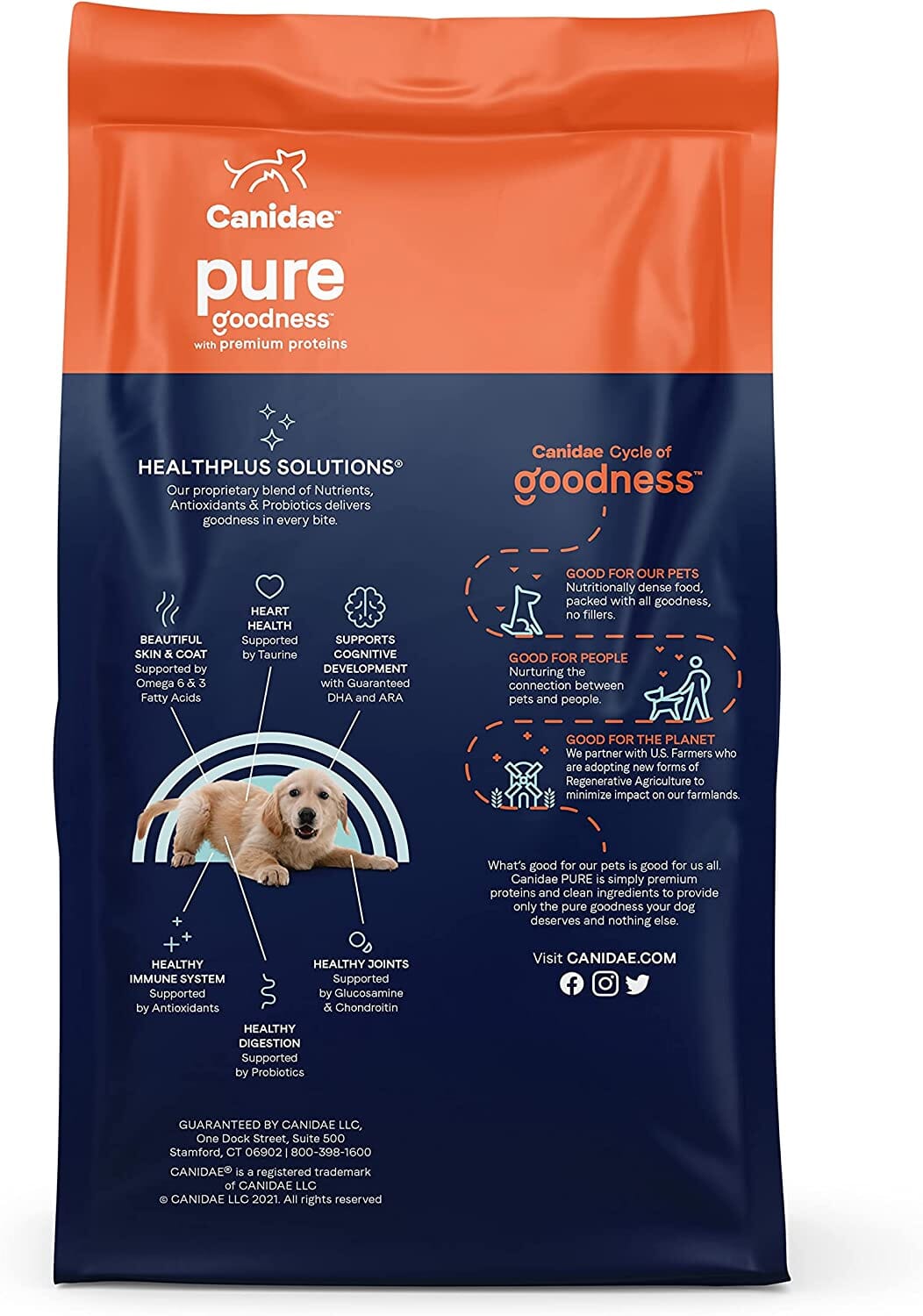 Pure Foundations Grain-Free Puppy Food Dry Dog Food - Chicken and Lentil - 12 Lbs  