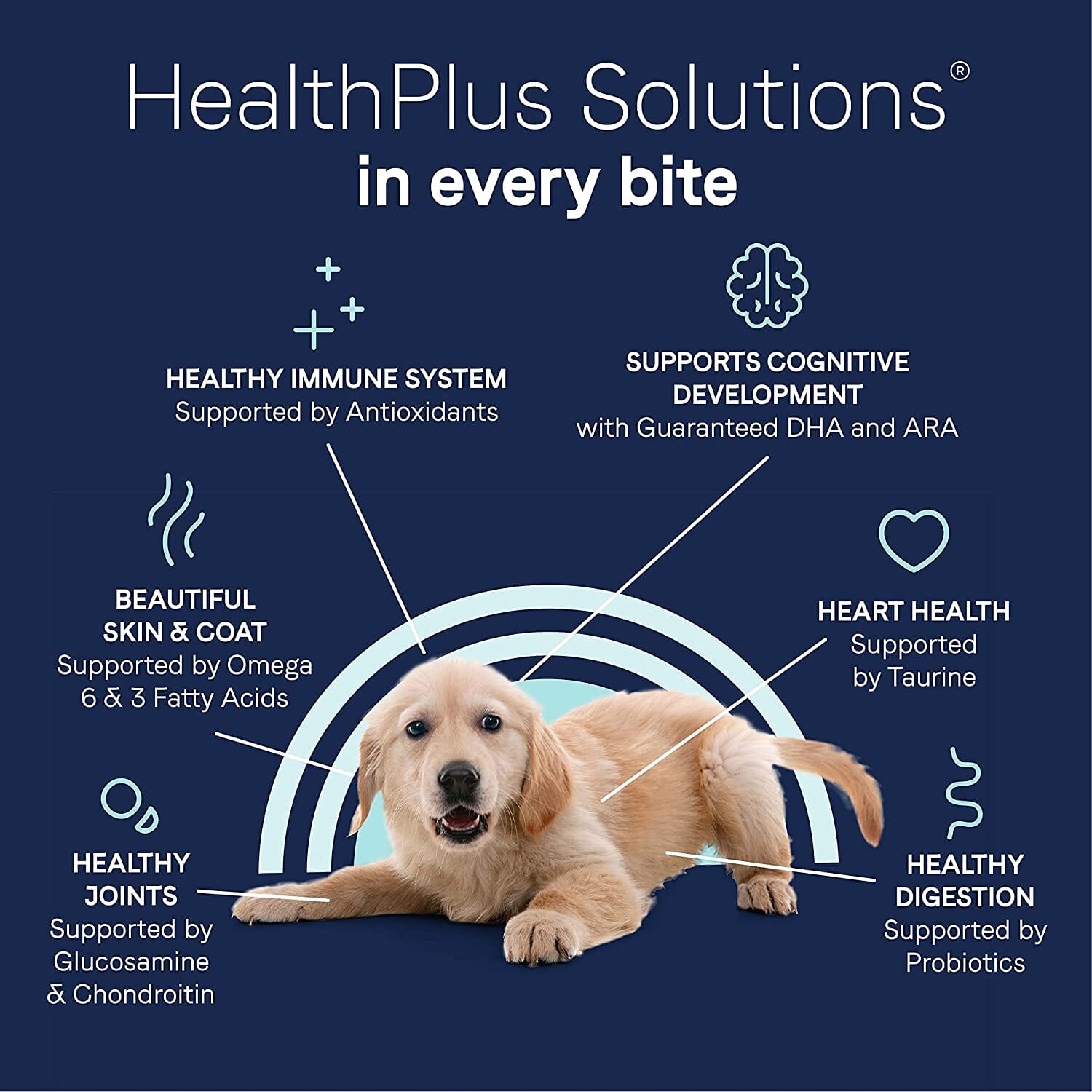 Pure Foundations Grain-Free Puppy Food Dry Dog Food - Chicken and Lentil - 4 Lbs  