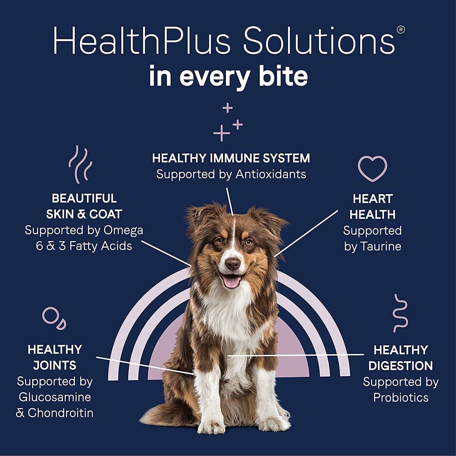 Pure Land Grain-Free Dry Dog Food - Fresh Bison - 10 Lbs  