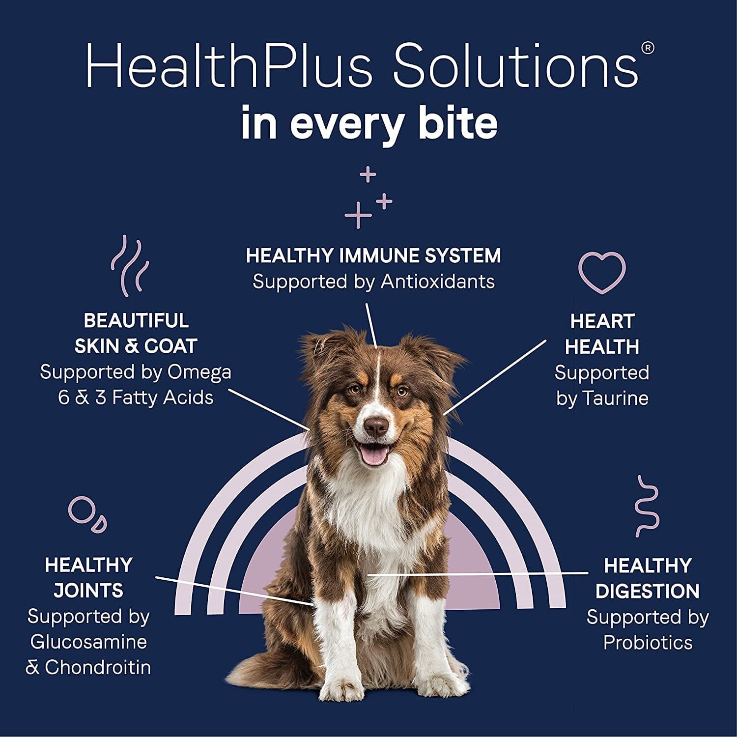 Pure Land Grain-Free Dry Dog Food - Fresh Bison - 24 Lbs  