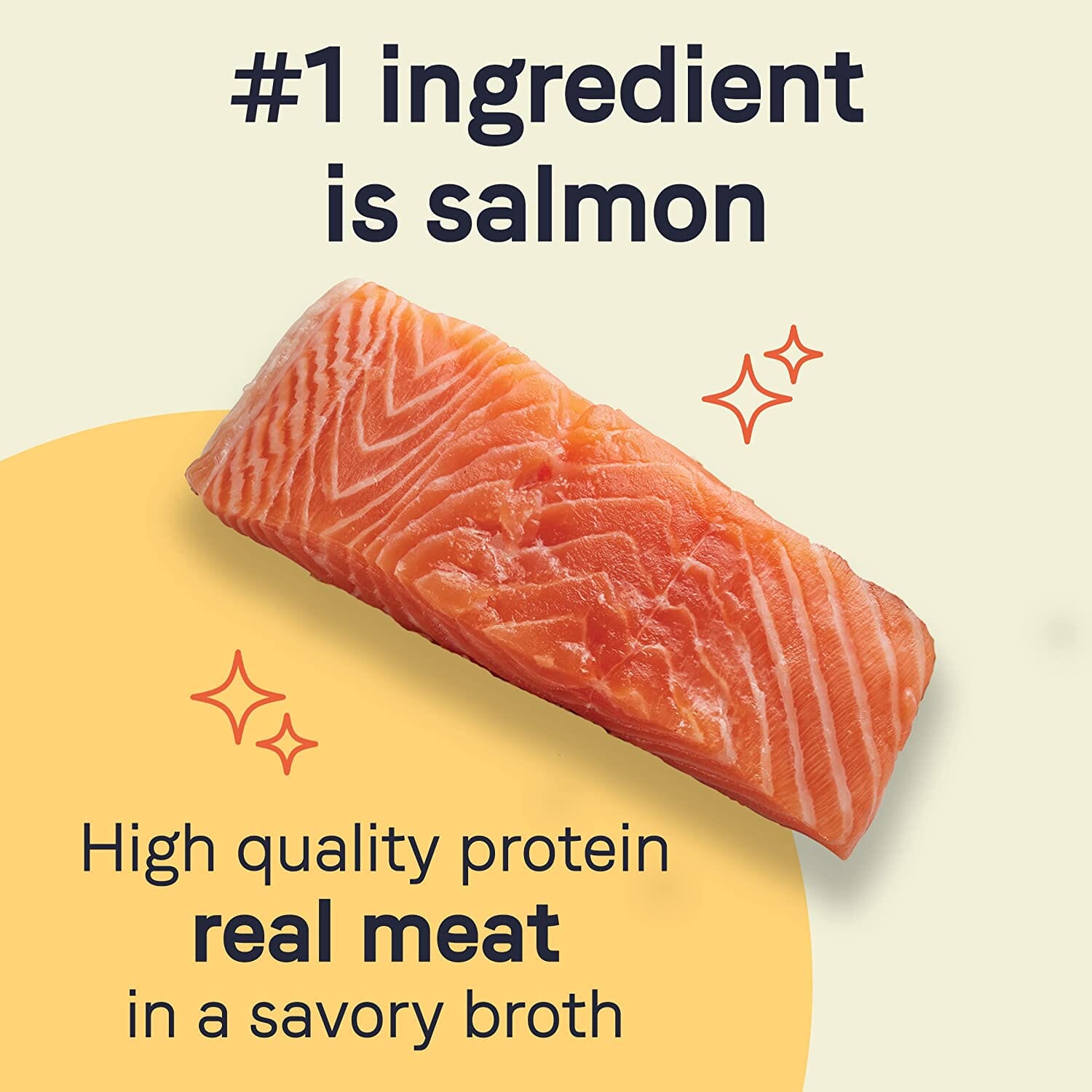 Pure Petite Small Breed Raw Coated Grain-Free Puppy Food Dry Dog Food - Fresh Salmon - 4 Lbs  