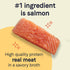 Pure Petite Small Breed Raw Coated Grain-Free Puppy Food Dry Dog Food - Fresh Salmon - 4 Lbs  