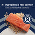 Pure Puppy Food with Wholesome Grains Dry Dog Food - Salmon and Oatmeal - 4 Lbs  