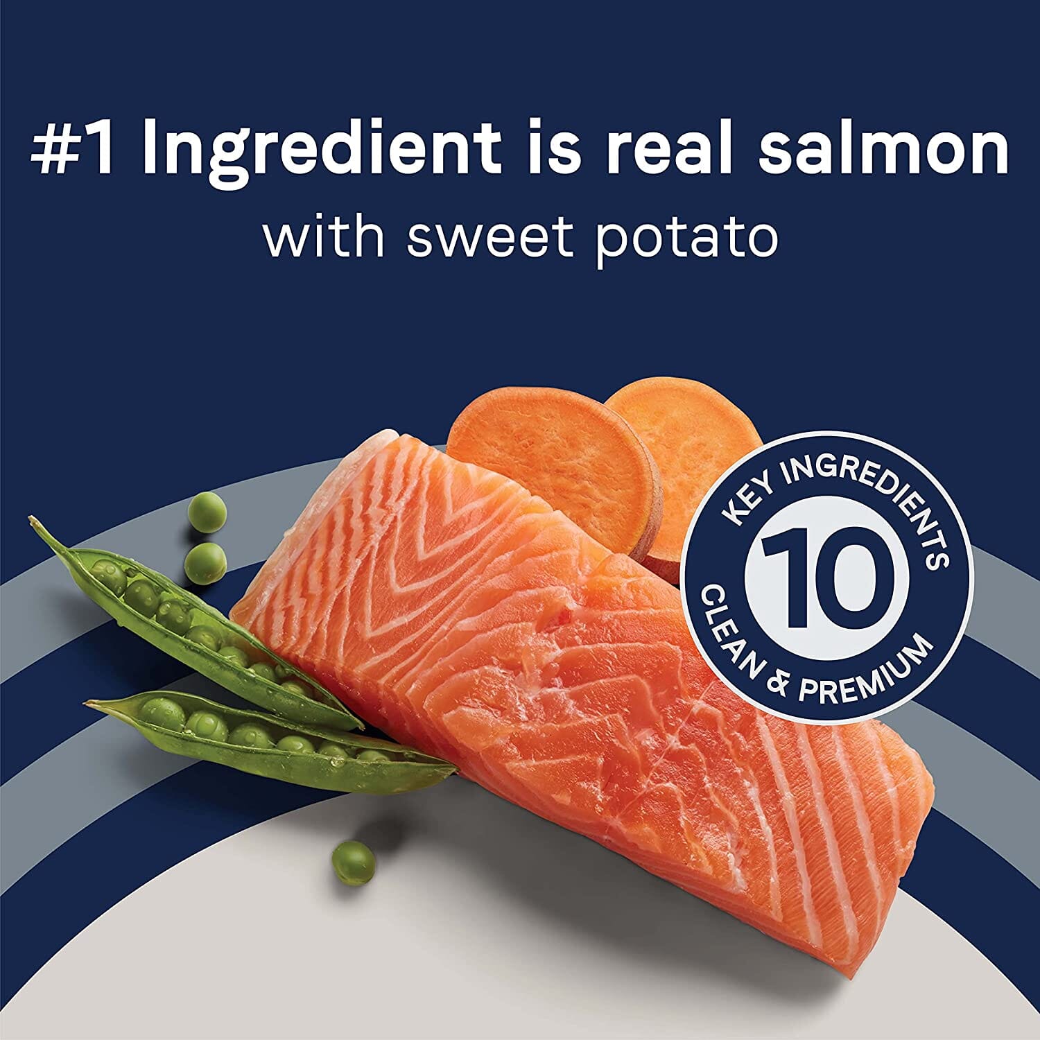 Pure Sea Grain-Free Dry Dog Food - Salmon and Sweet Potato - 4 Lbs  