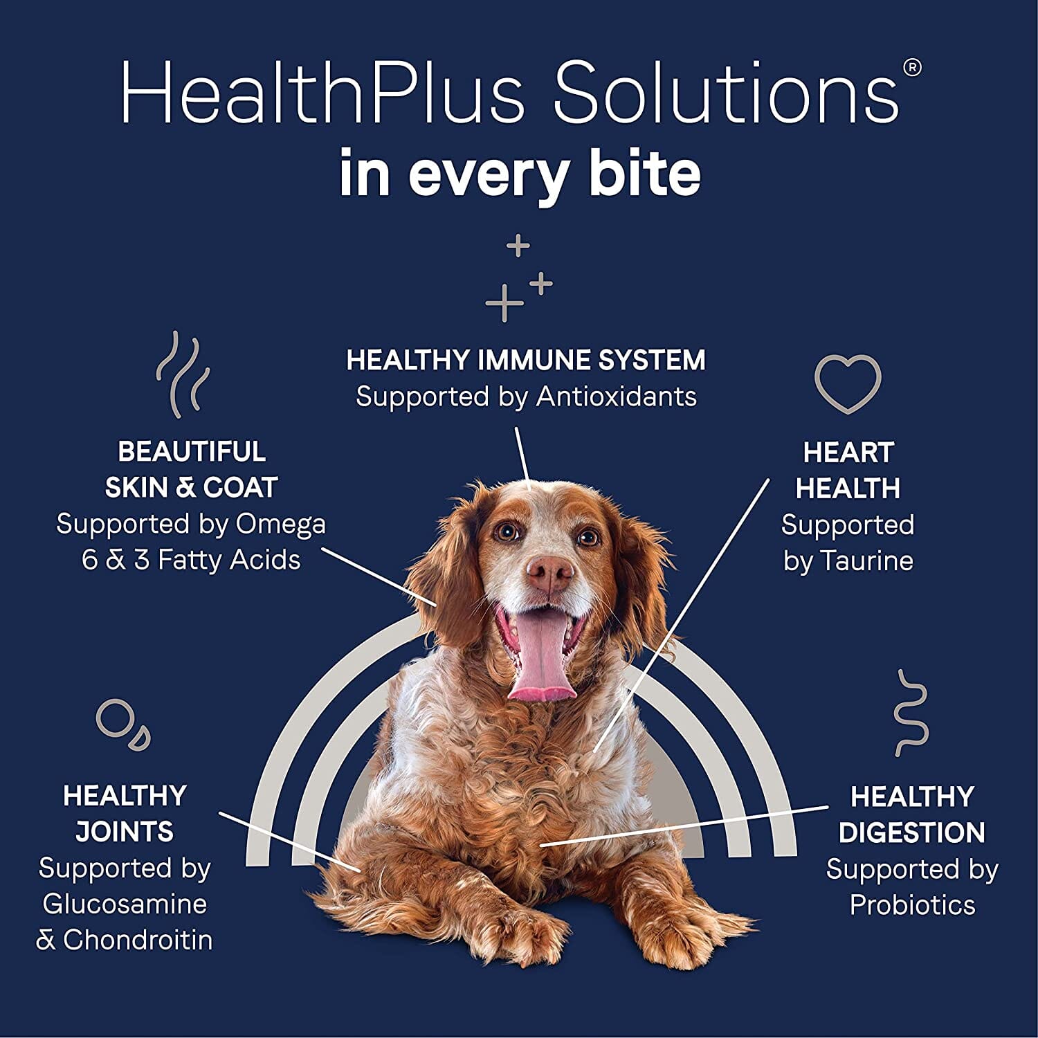 Pure Senior Grain-Free Dry Dog Food - Chicken and Sweet Potato - 24 Lbs  