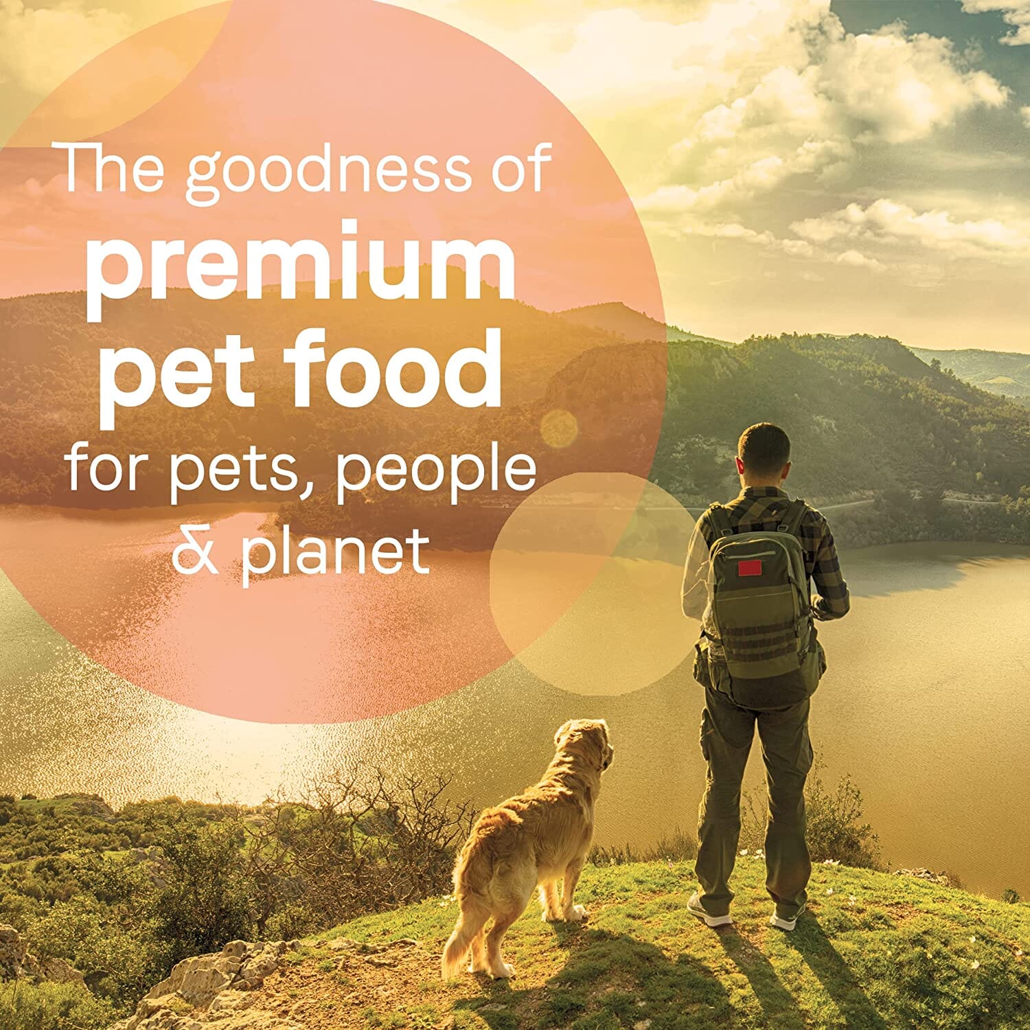 Pure Sky Can Grain-Free Dog Food - Duck and Turkey - 13 Oz - Case of 12  