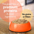 Pure Sky Can Grain-Free Dog Food - Duck and Turkey - 13 Oz - Case of 12  