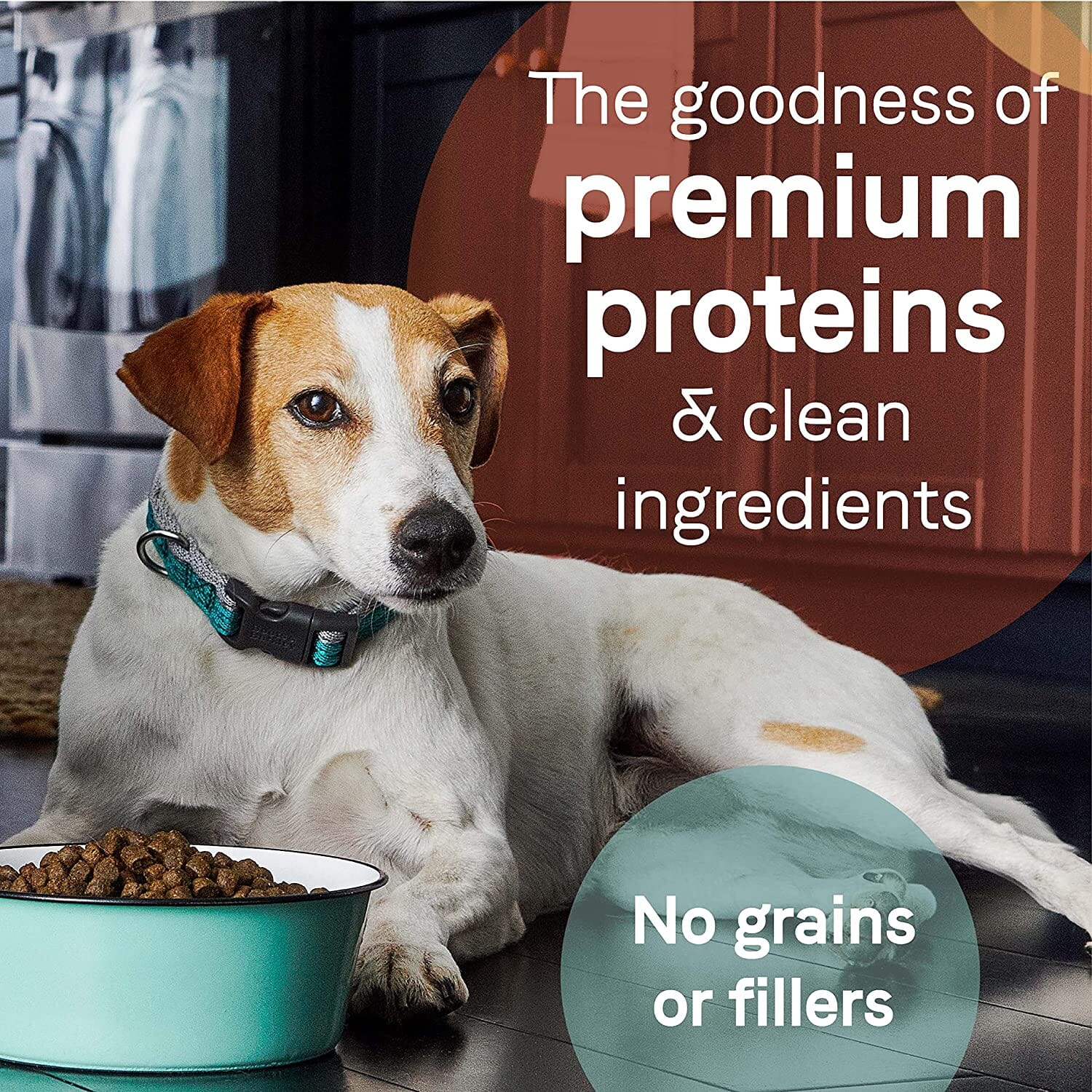 Pure Wild Grain-Free Dry Dog Food - Boar and Garbanzo Beans - 24 Lbs  