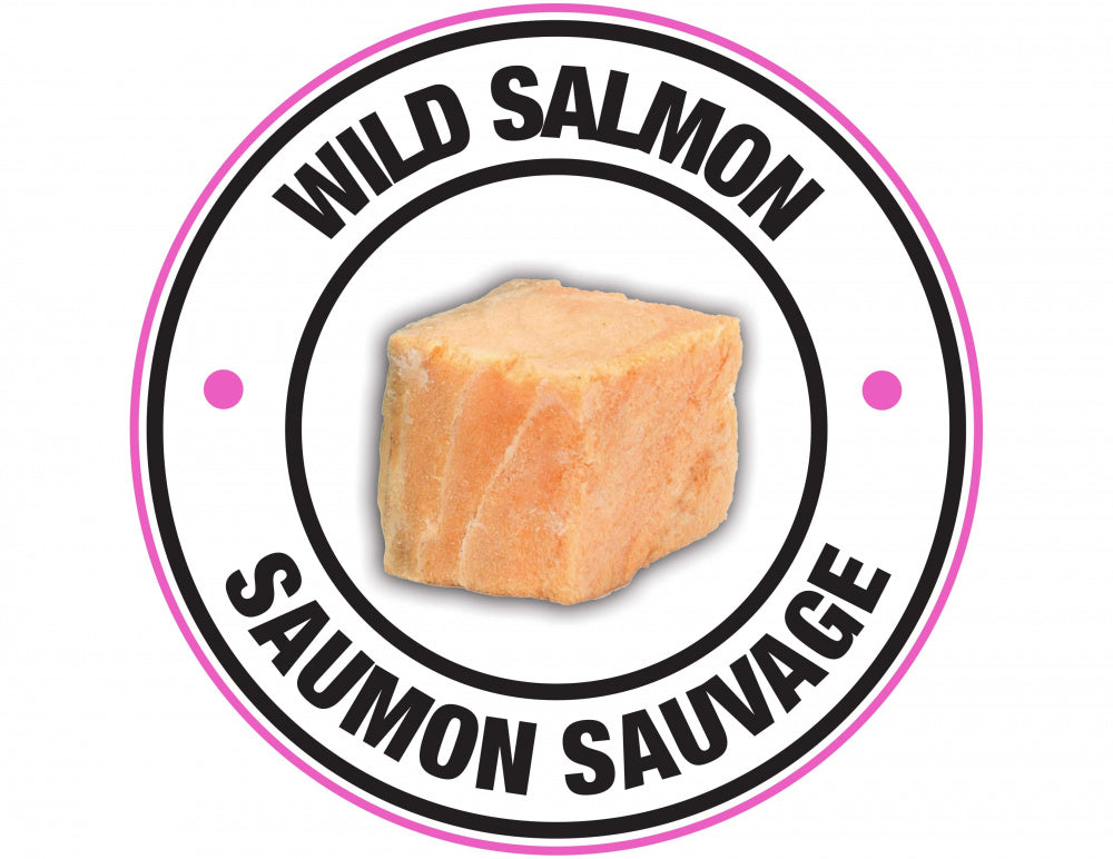 PureBites Salmon Freeze Dried Cat Treats  