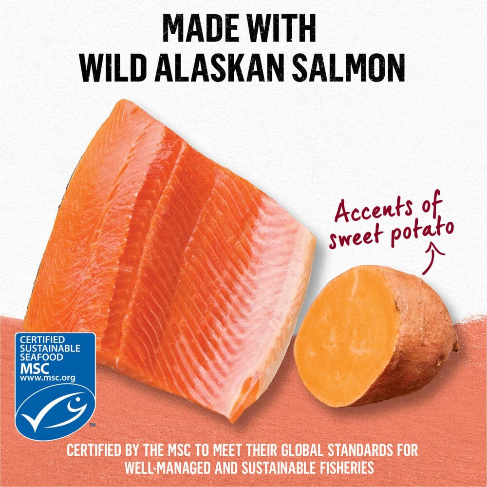 Purina Beyond Grain-Free Wild Alaskan Salmon & Sweet Potato Recipe in Gravy Canned Cat Food  