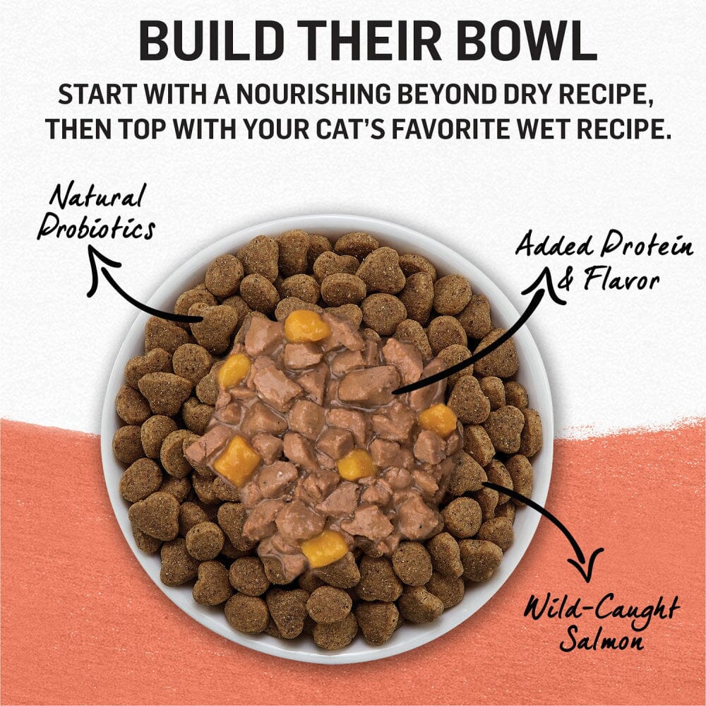 Purina Beyond Grain-Free Wild Alaskan Salmon & Sweet Potato Recipe in Gravy Canned Cat Food  