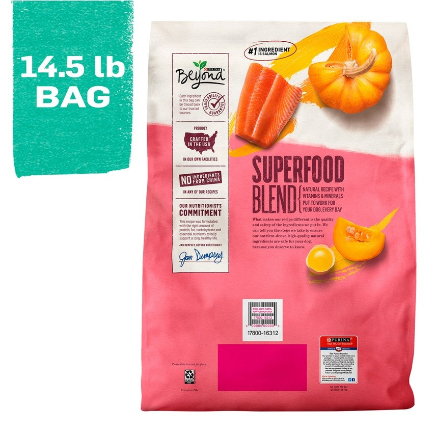Purina Beyond Superfood Blend Salmon, Egg, and Pumpkin Recipe Dry Dog Food  