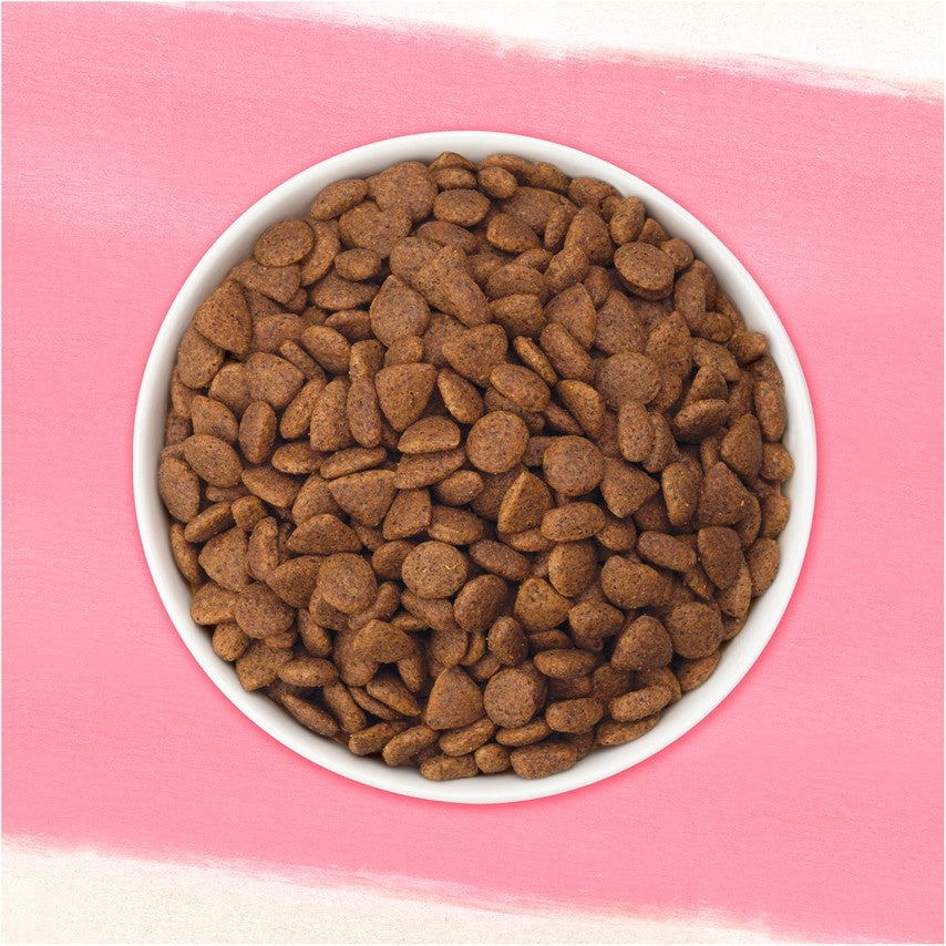 Purina Beyond Superfood Blend Salmon, Egg, and Pumpkin Recipe Dry Dog Food  