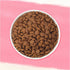 Purina Beyond Superfood Blend Salmon, Egg, and Pumpkin Recipe Dry Dog Food  