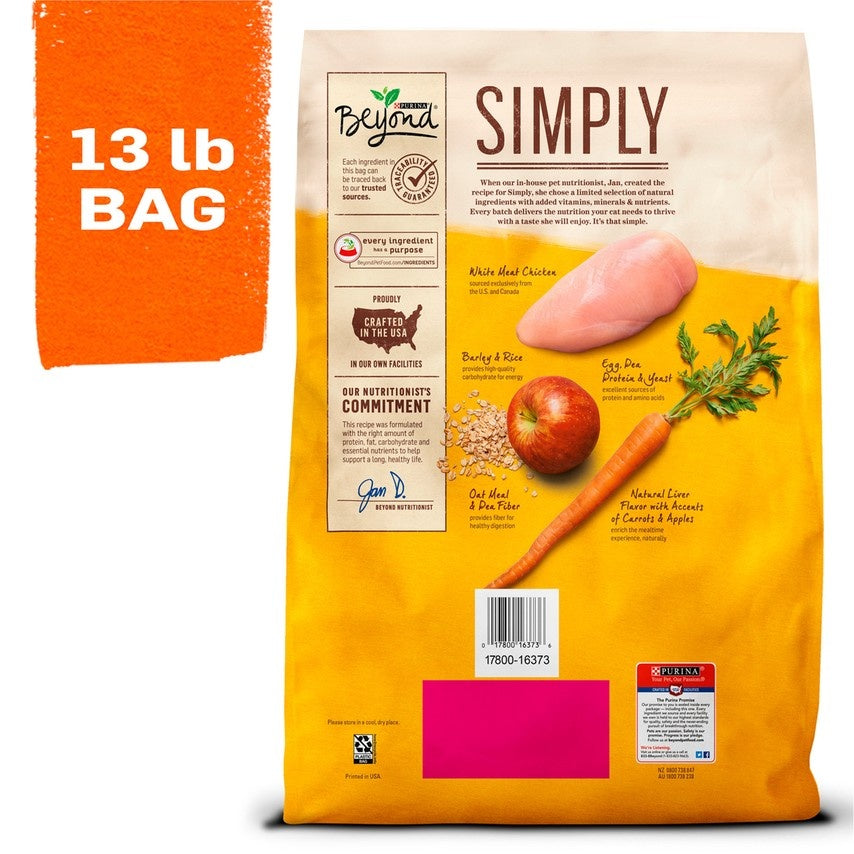 Purina Beyond Superfood Blend Salmon, Egg, and Pumpkin Recipe Dry Dog Food  