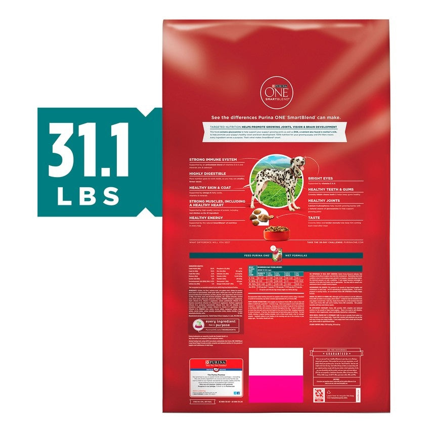 Purina ONE Large Breed Puppy Formula Dry Dog Food  