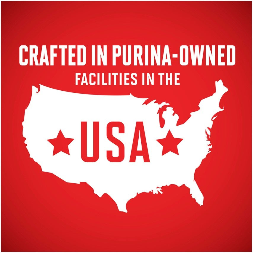 Purina ONE Large Breed Puppy Formula Dry Dog Food  