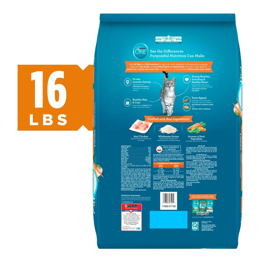 Purina ONE Tender Selects Blend Real Chicken Dry Cat Food  